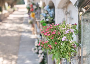 Mezarlıkta çiçekler.