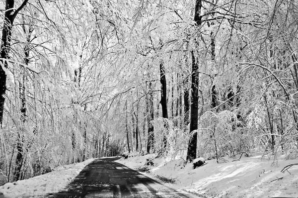 Estrada com paisagem nevada — Fotografia de Stock