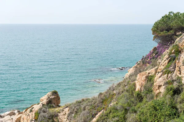 Paisajes Detalles Costa Brave Costa Brava Girona España — Foto de Stock