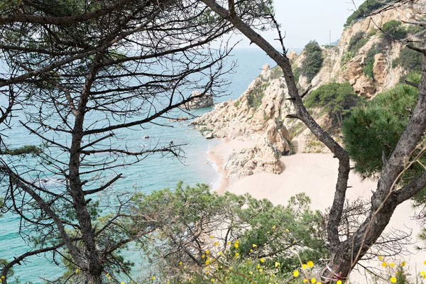 Girona 'daki (İspanya) Sahil Cesareti (Costa Brava) manzaraları ve ayrıntıları)