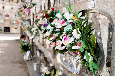 Oluşumdaki mezarların ve mezar nişlerinin ayrıntıları 