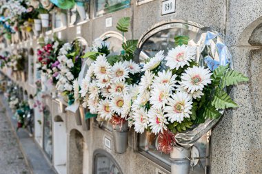 Oluşumdaki mezarların ve mezar nişlerinin ayrıntıları 