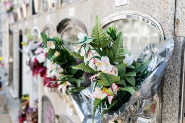 Oluşumdaki mezarların ve mezar nişlerinin ayrıntıları 