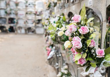 Oluşumdaki mezarların ve mezar nişlerinin ayrıntıları 