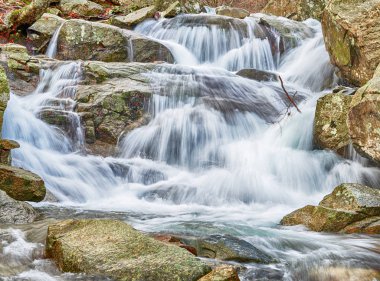 Kışın kayın ormanında bir nehir.