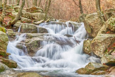 Kışın kayın ormanında bir nehir.