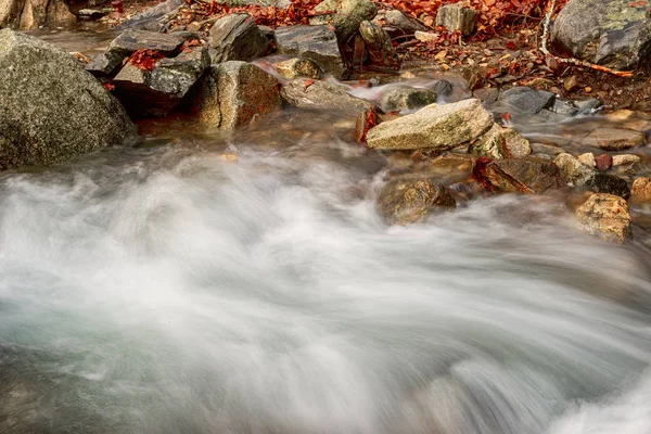 Река в буковом лесу зимой — стоковое фото