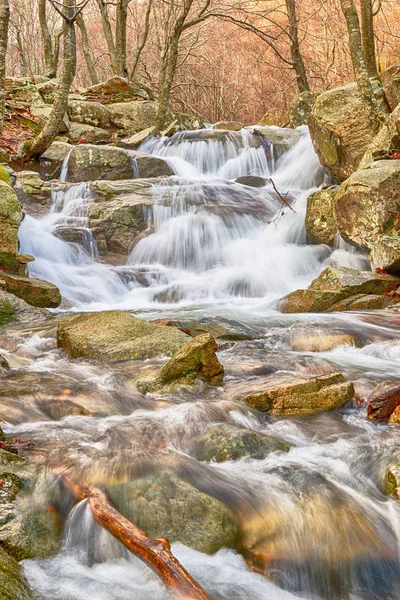 Flod i bokskog på vintern — Stockfoto