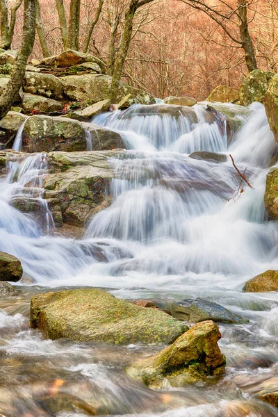 Flod i bokskog på vintern — Stockfoto