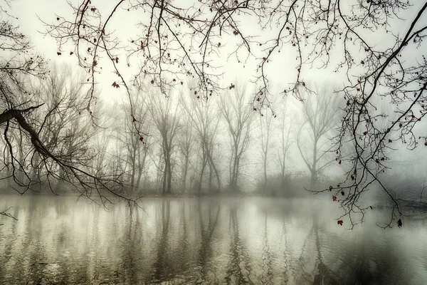 Reflexiones en el misterioso lago — Foto de Stock