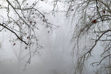 Gizemli göldeki yansımalar