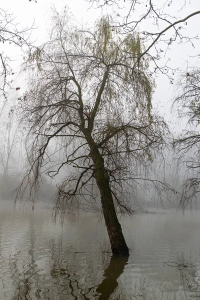 Riflessioni nel misterioso lago — Foto Stock