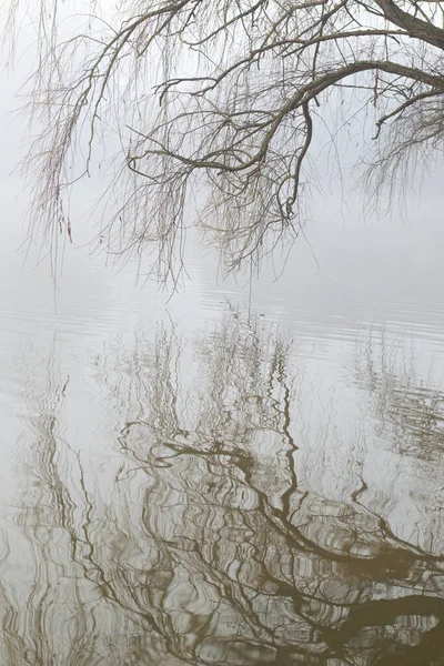 Riflessioni nel misterioso lago — Foto Stock