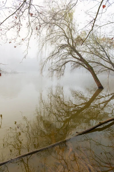 Refleksjoner i mystiske innsjøer – stockfoto