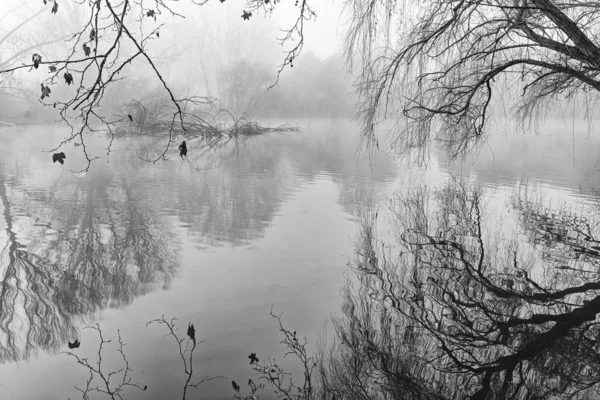 Reflexiones en el misterioso lago — Foto de Stock