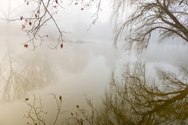 Réflexions dans un lac mystérieux — Photo