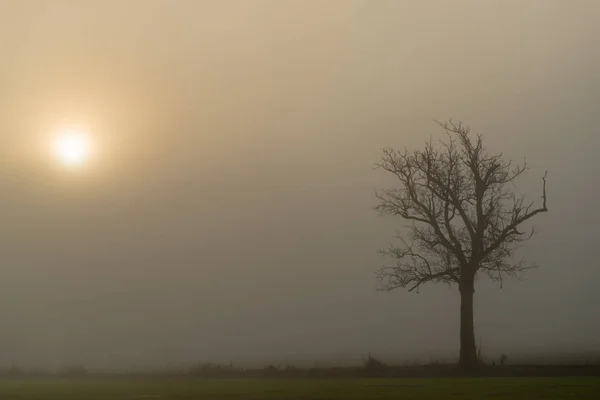 Nascer do sol com nevoeiro — Fotografia de Stock