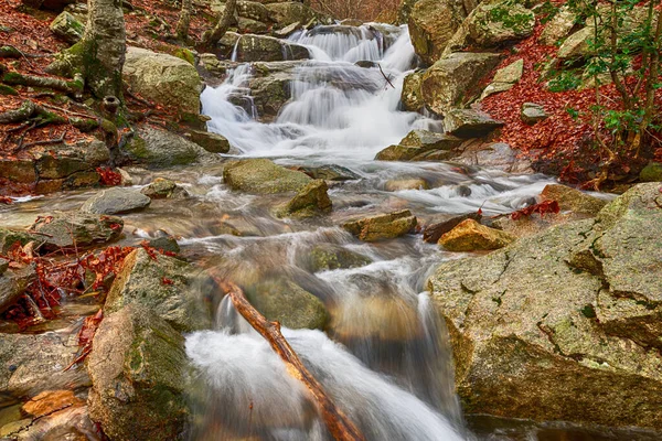 Flod i bokskog på vintern — Stockfoto