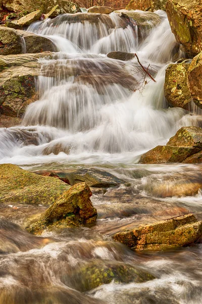 Rio em uma floresta de faia no inverno — Fotografia de Stock