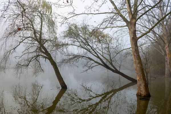 Riflessioni nel misterioso lago — Foto Stock