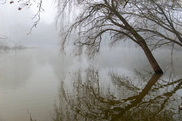 Reflexões em lago misterioso — Fotografia de Stock