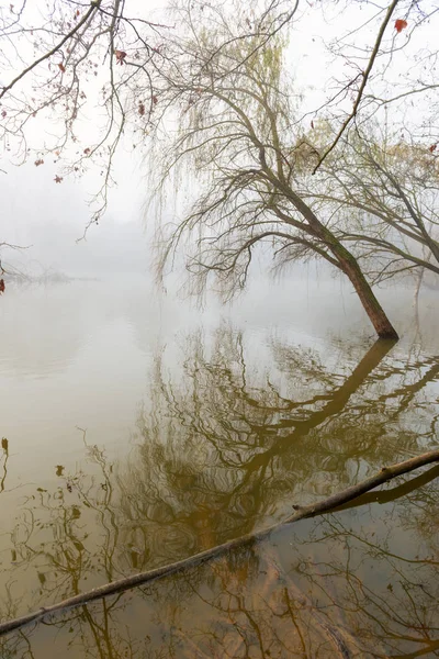 Riflessioni nel misterioso lago — Foto Stock