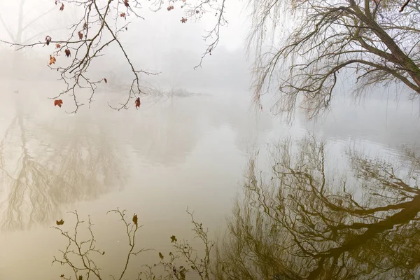 Riflessioni nel misterioso lago — Foto Stock