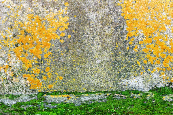 Detail of a wall with damp — Stock Photo, Image