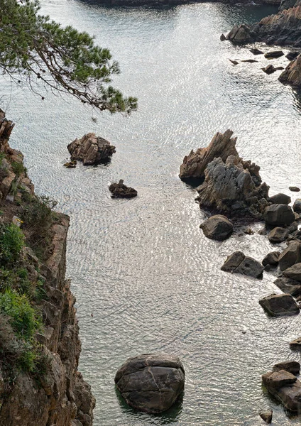 Landschappen Details Van Kust Brave Costa Brava Girona Spanje — Stockfoto