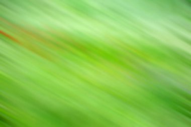 Dekoratif ve yaratıcı arka planlar bulanık