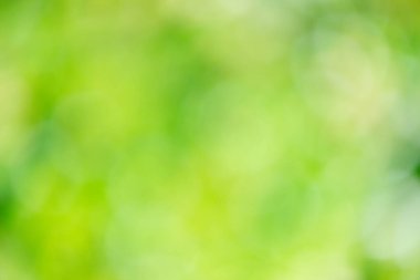 Güzel arka planlar doğal olarak doğanın yaprakları arasında yaratılmıştır. Doğal arka plan olarak ideal.