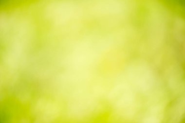 Güzel arka planlar doğal olarak doğanın yaprakları arasında yaratılmıştır. Doğal arka plan olarak ideal.