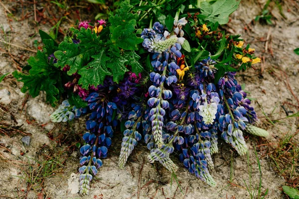 砂の上のルピナスの花束 — ストック写真