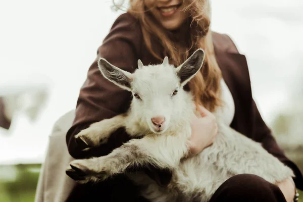 Genç ve nazik beyaz keçi — Stok fotoğraf