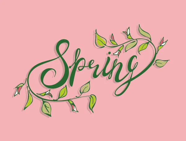 Spring Lettering Composition Text Flowers Design Cards Vector Illustration — Stock Vector