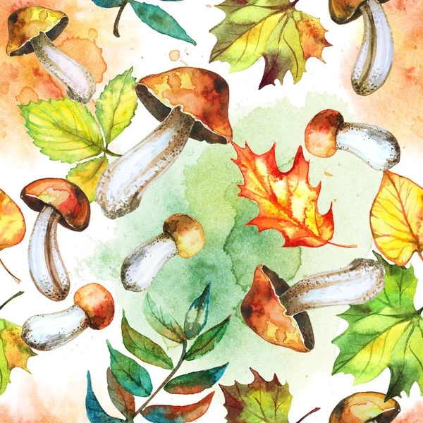 Seamless Pattern Mushrooms Harvest Mushrooms Watercolor Autumn — ストック写真