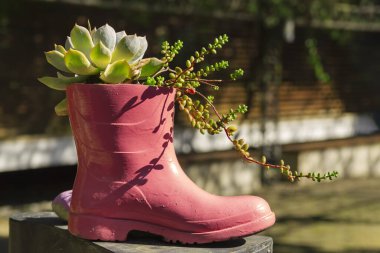 Geri dönüştürülmüş pembe çizme, güneş ışığı altında, bahçesinde doğal bitkiler bulunan bir kap olarak. Geri dönüşüm, ekoloji ve sürdürülebilirlik kavramı. Doğanın, çevrenin ve gezegenin bakımı.