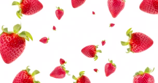 空中に落ちるいくつかの新鮮なイチゴのスローモーションビデオ 旋回し カメラに近づいて 白い背景に隔離されている 健康食品 ベジタリアン ビーガン オーガニックフード — ストック動画