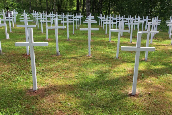 Karelya 'daki Finlandiya askeri mezarlığında haçlar