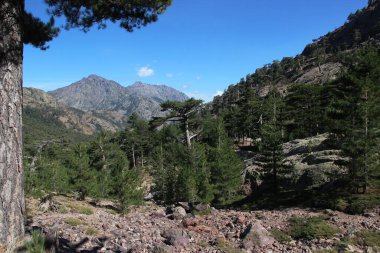  Korsika adasının dağlarında yürüyüş ve manzara