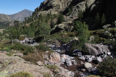 Korsika adasının dağlarında yürüyüş ve manzara