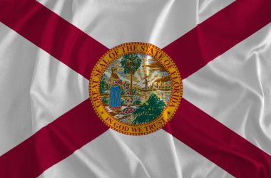 Florida arka plan, Sunshine State bayrağı