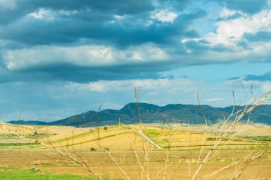 Muhteşem Sicilya manzarası, Barrafranca, Enna, Sicilya, İtalya, Avrupa