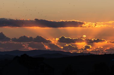 Günbatımında Güzel Manzara Bir Kuş Sürüsü, Mazzarino, Caltanissetta, Sicilya, İtalya, Avrupa