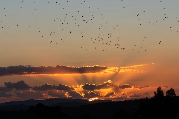Paisagem Bonita Pôr Sol Com Rebanho Pássaros Mazzarino Caltanissetta Sicília — Fotografia de Stock