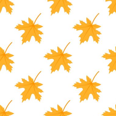 Akçaağaç sonbahar desen beyaz arka plan üzerinde bırakır