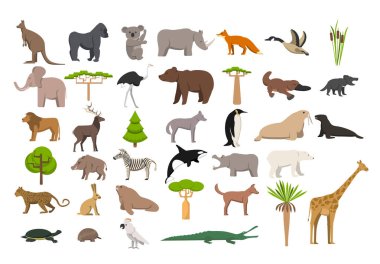 Animals of the world, a protected area, a hunting ground, a territory of the zoo