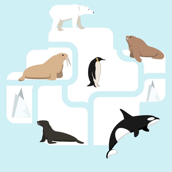 Animals living in Antarctic, a protected area, a hunting ground, a territory of the zoo