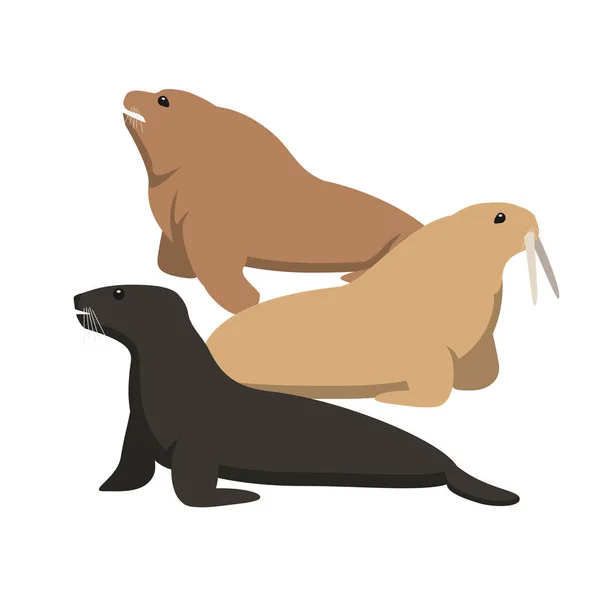 Sea Cat Sea Lion Flat Vector Illustration — Stock Vector