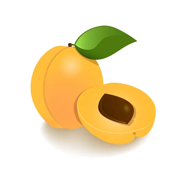 Sady Ovocné Ikony Obrázkem Meruňka — Stockový vektor